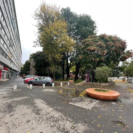 Lovely 2 In The Center Of The